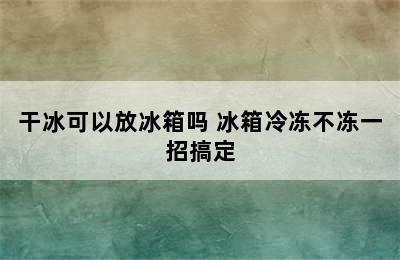 干冰可以放冰箱吗 冰箱冷冻不冻一招搞定